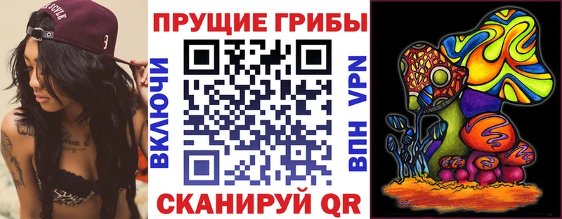 ссылка на мегу tor  Саров  Галлюциногенные грибы Psilocybe 